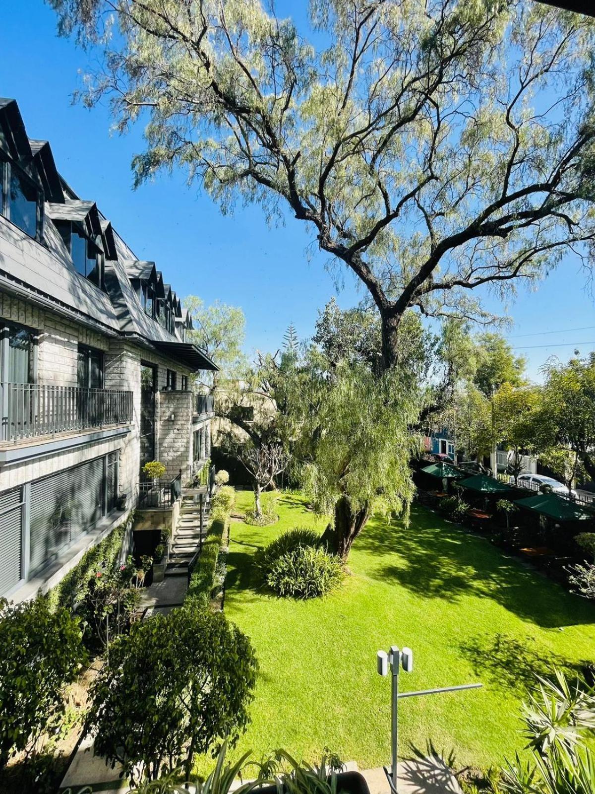Hotel Casagrande アレキパ エクステリア 写真